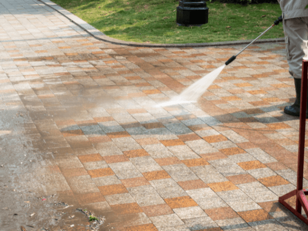 How to Revitalize Your Backyard in Houston, TX