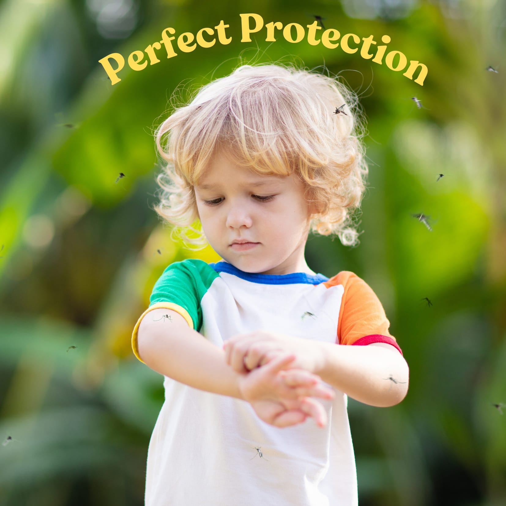 Patio Screen Enclosures: The Ultimate Mosquito Defense